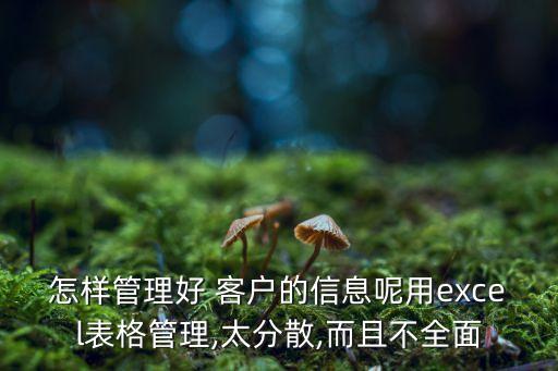 怎樣管理好 客戶的信息呢用excel表格管理,太分散,而且不全面