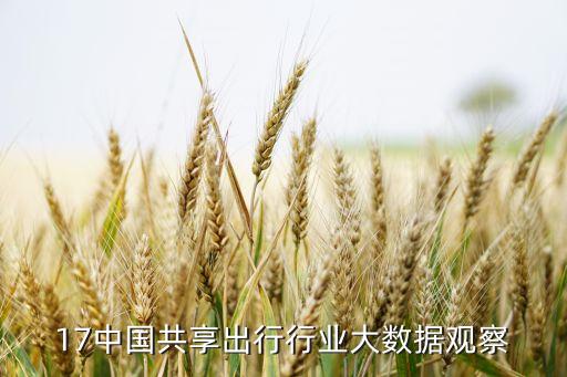 2017中國(guó)共享出行行業(yè)大數(shù)據(jù)觀察