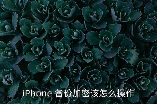iPhone 備份加密該怎么操作