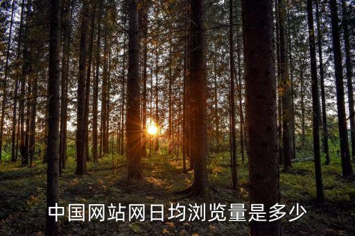 中國網(wǎng)站網(wǎng)日均瀏覽量是多少