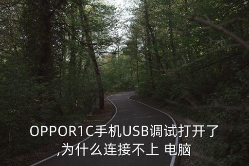oppor1c數(shù)據(jù)線插電腦上