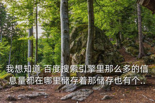 百度的數(shù)據(jù)總量有多少,企業(yè)數(shù)據(jù)資源總量一般是多少TB