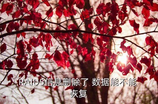 raid5數(shù)據(jù)恢復(fù)時(shí)間,群暉raid5數(shù)據(jù)恢復(fù)