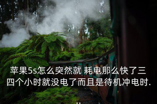蘋果5s怎么突然就 耗電那么快了三四個小時就沒電了而且是待機沖電時...