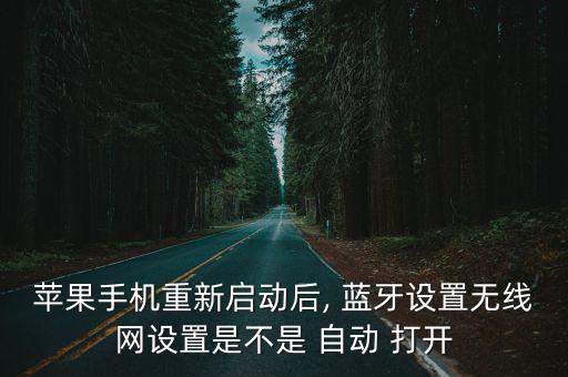 蘋果手機(jī)重新啟動(dòng)后, 藍(lán)牙設(shè)置無線網(wǎng)設(shè)置是不是 自動(dòng) 打開