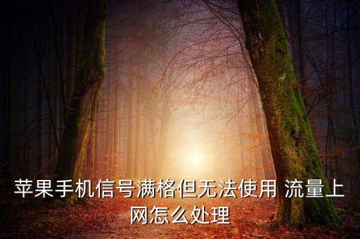 蘋果手機(jī)信號(hào)滿格但無法使用 流量上網(wǎng)怎么處理