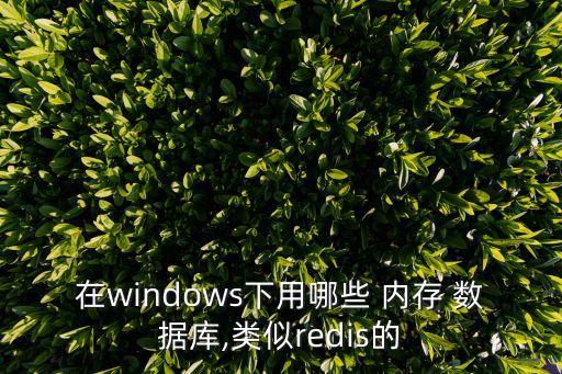 在windows下用哪些 內(nèi)存 數(shù)據(jù)庫(kù),類似redis的