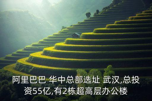 阿里巴巴 華中總部選址 武漢,總投資55億,有2棟超高層辦公樓