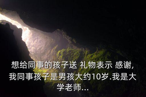 想給同事的孩子送 禮物表示 感謝,我同事孩子是男孩大約10歲.我是大學(xué)老師...