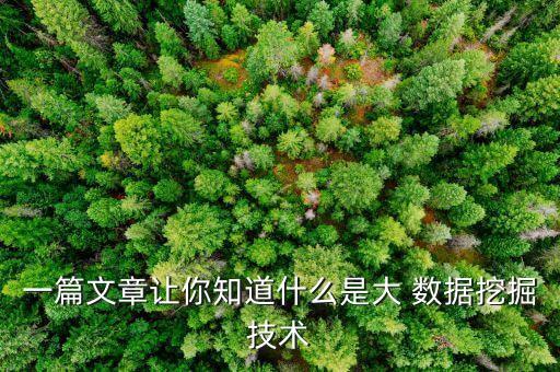 一篇文章讓你知道什么是大 數(shù)據(jù)挖掘技術(shù)