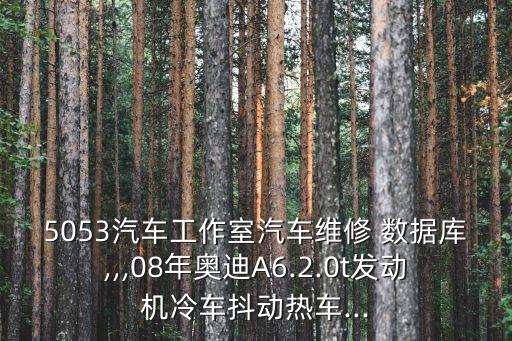 5053汽車工作室汽車維修 數(shù)據(jù)庫,,,08年奧迪A6.2.0t發(fā)動機冷車抖動熱車...
