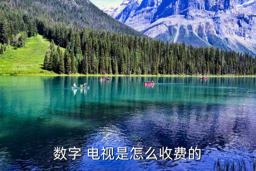 數(shù)字 電視是怎么收費的
