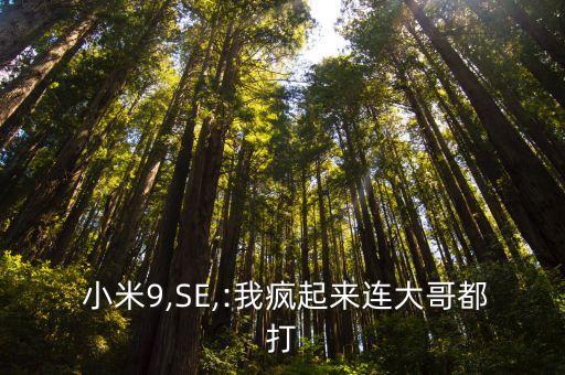  小米9,SE,:我瘋起來連大哥都打