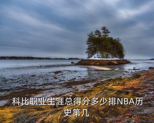 科比退役戰(zhàn)數(shù)據(jù)