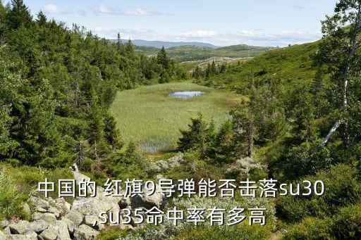 中國(guó)的 紅旗9導(dǎo)彈能否擊落su30,su35命中率有多高