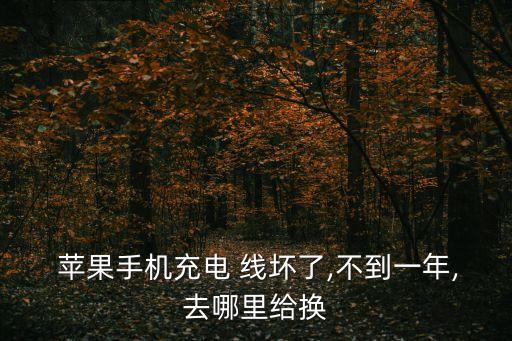 蘋果手機(jī)充電 線壞了,不到一年,去哪里給換