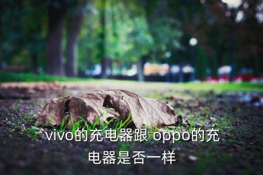 oppo和vivo數(shù)據(jù)線多少錢一個(gè),OPPO數(shù)據(jù)線能不能充vivo