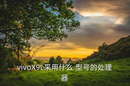 vivoX9L采用什么 型號的處理器