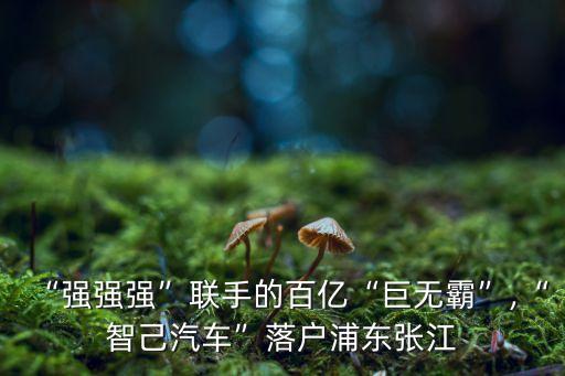 數(shù)據(jù)創(chuàng)造價(jià)值驅(qū)動(dòng)創(chuàng)造未來,為企業(yè)創(chuàng)造價(jià)值 為員工創(chuàng)造未來