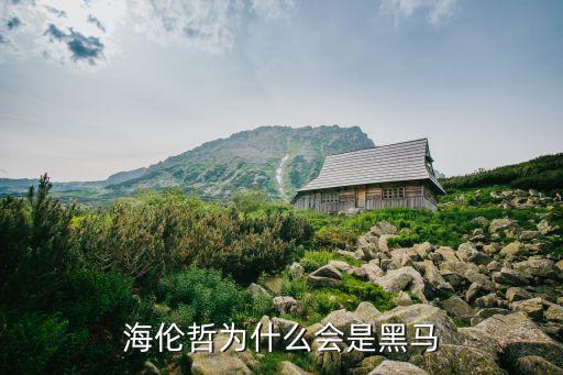 海倫哲為什么會(huì)是黑馬