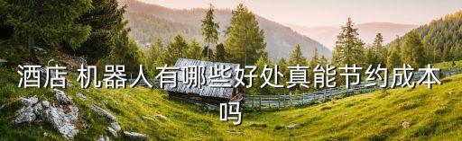 酒店 機(jī)器人有哪些好處真能節(jié)約成本嗎