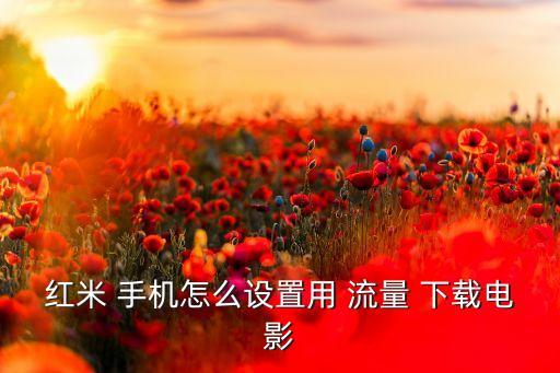 手機如何用數(shù)據(jù)流量下載電視劇,蘋果手機下載數(shù)據(jù)流量設(shè)置