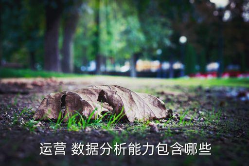  運(yùn)營(yíng) 數(shù)據(jù)分析能力包含哪些
