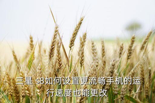  三星 s8如何設(shè)置更流暢手機(jī)的運(yùn)行速度也能更改
