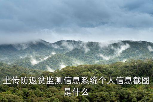 上傳防返貧監(jiān)測信息系統(tǒng)個人信息截圖是什么