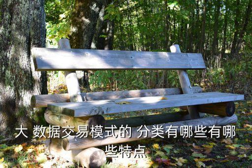 大 數(shù)據(jù)交易模式的 分類有哪些有哪些特點