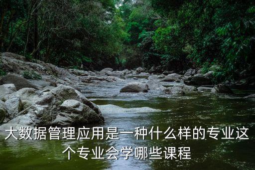 大數(shù)據(jù)管理應(yīng)用是一種什么樣的專業(yè)這個(gè)專業(yè)會(huì)學(xué)哪些課程
