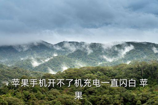  蘋果手機(jī)開不了機(jī)充電一直閃白 蘋果
