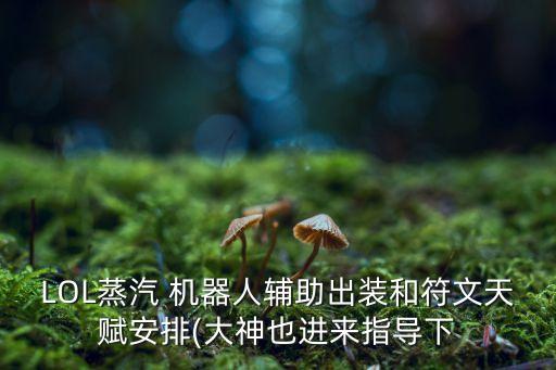 LOL蒸汽 機(jī)器人輔助出裝和符文天賦安排(大神也進(jìn)來(lái)指導(dǎo)下