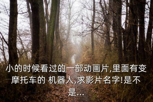 小的時候看過的一部動畫片,里面有變摩托車的 機器人,求影片名字!是不是...