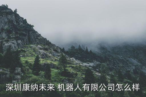 深圳康納未來 機器人有限公司怎么樣