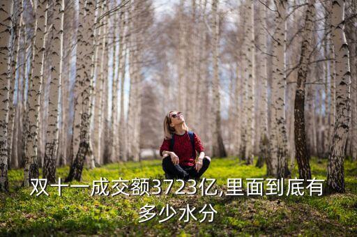 雙十一成交額3723億,里面到底有多少水分