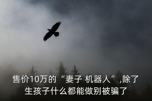售價10萬的“妻子 機器人”,除了生孩子什么都能做別被騙了