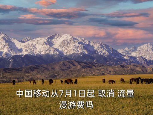 漫游費取消 流量數(shù)據(jù),手機流量漫游費是不是真的取消了