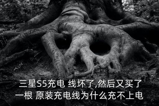  三星S5充電 線壞了,然后又買了一根 原裝充電線為什么充不上電