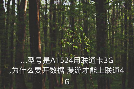 ...型號是A1524用聯(lián)通卡3G,為什么要開數(shù)據(jù) 漫游才能上聯(lián)通4G