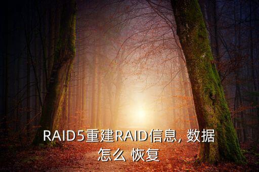 RAID5重建RAID信息, 數(shù)據(jù)怎么 恢復(fù)