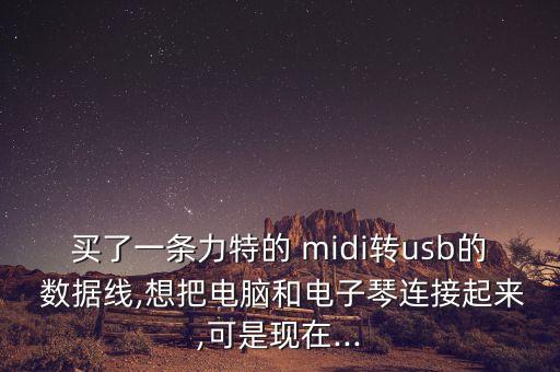 midi lighting數(shù)據(jù)線,蘋果usb-c數(shù)據(jù)線和lighting
