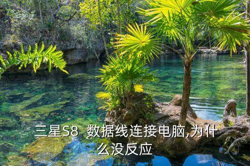  三星S8  數(shù)據(jù)線連接電腦,為什么沒(méi)反應(yīng)