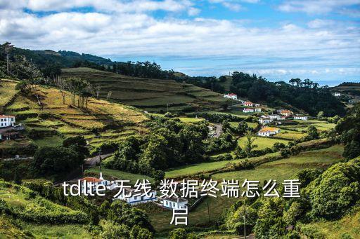  tdlte 無線 數(shù)據(jù)終端怎么重啟