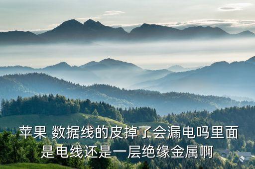  蘋果 數(shù)據(jù)線的皮掉了會漏電嗎里面是電線還是一層絕緣金屬啊