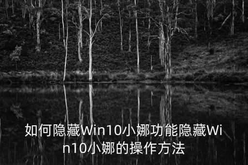 如何隱藏Win10小娜功能隱藏Win10小娜的操作方法