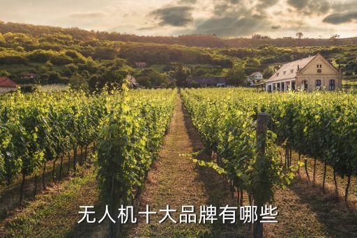 無人機(jī)十大品牌有哪些