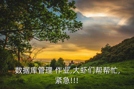 2016數(shù)據(jù)庫的作業(yè),access數(shù)據(jù)庫下載2016