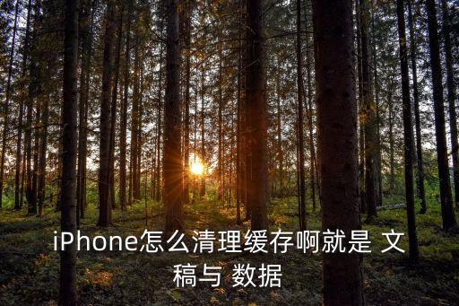 iPhone怎么清理緩存啊就是 文稿與 數(shù)據(jù)