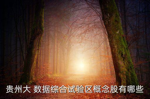 貴州大 數(shù)據(jù)綜合試驗區(qū)概念股有哪些